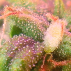 DSC05913