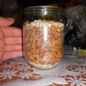 DSCN2831