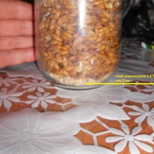 DSCN2831