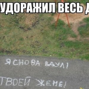 8412087y6t