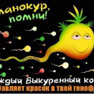 накрыло 4
