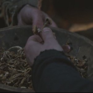эээ.. тазик грибов пожалуйста