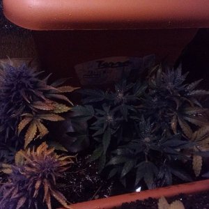IMAG0257
