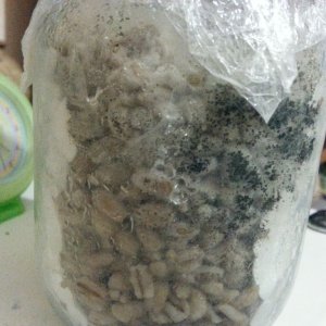 20140607 212828