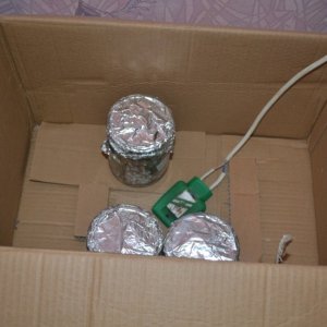 DSC 0433
