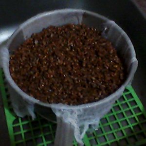 Зерно сварено и покоится в дуршлаге