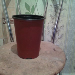 IMG 20150112 132322