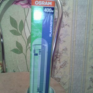 IMG 20150112 133338