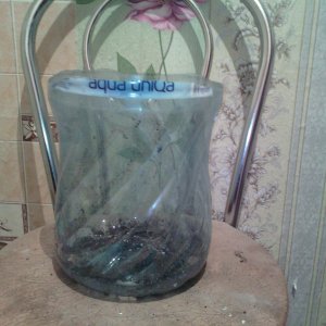 IMG 20150112 132304