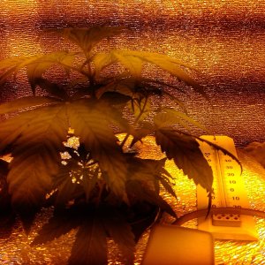 IMAG0507