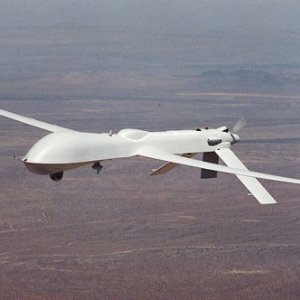 В США конопля может падать с неба