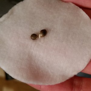 20150123 204001