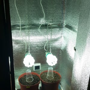20150125 155434