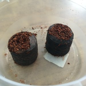 Заряженные кокосовые таблетки