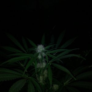 IMG 20150201 122857