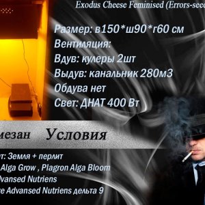 Лёха