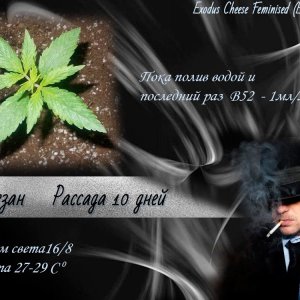 Лёха (2)