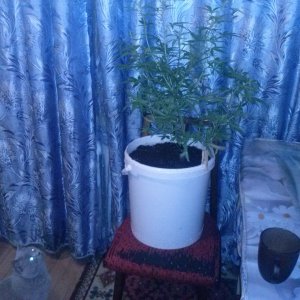 gallery 16703 1029 220902