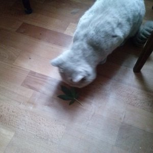 CAM00845