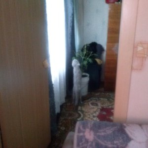 CAM01224