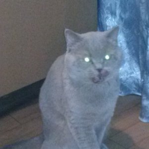 CAM00805