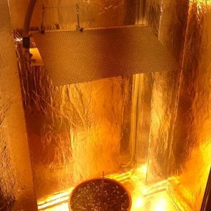 photo1424171066372