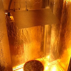 photo1424171066372