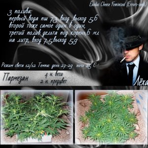 Лёха 4нв2пр1 (1)