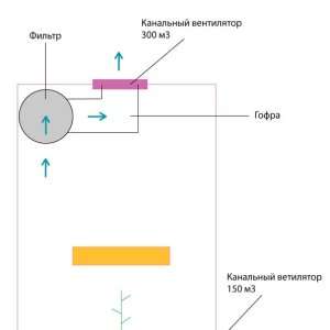 Безымянный 1