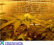 017906d07f08t