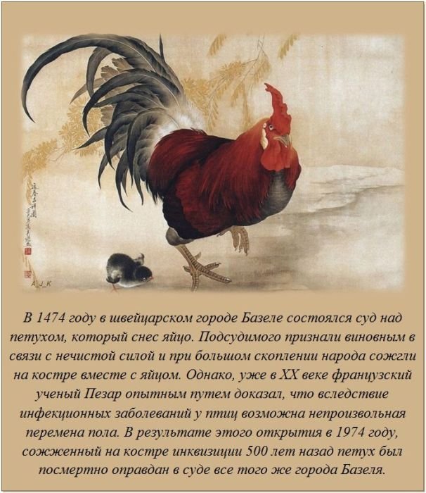 1333651969 fakti 14 1