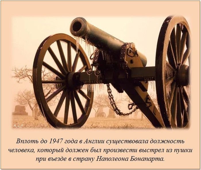 1333651987 fakti 16 1