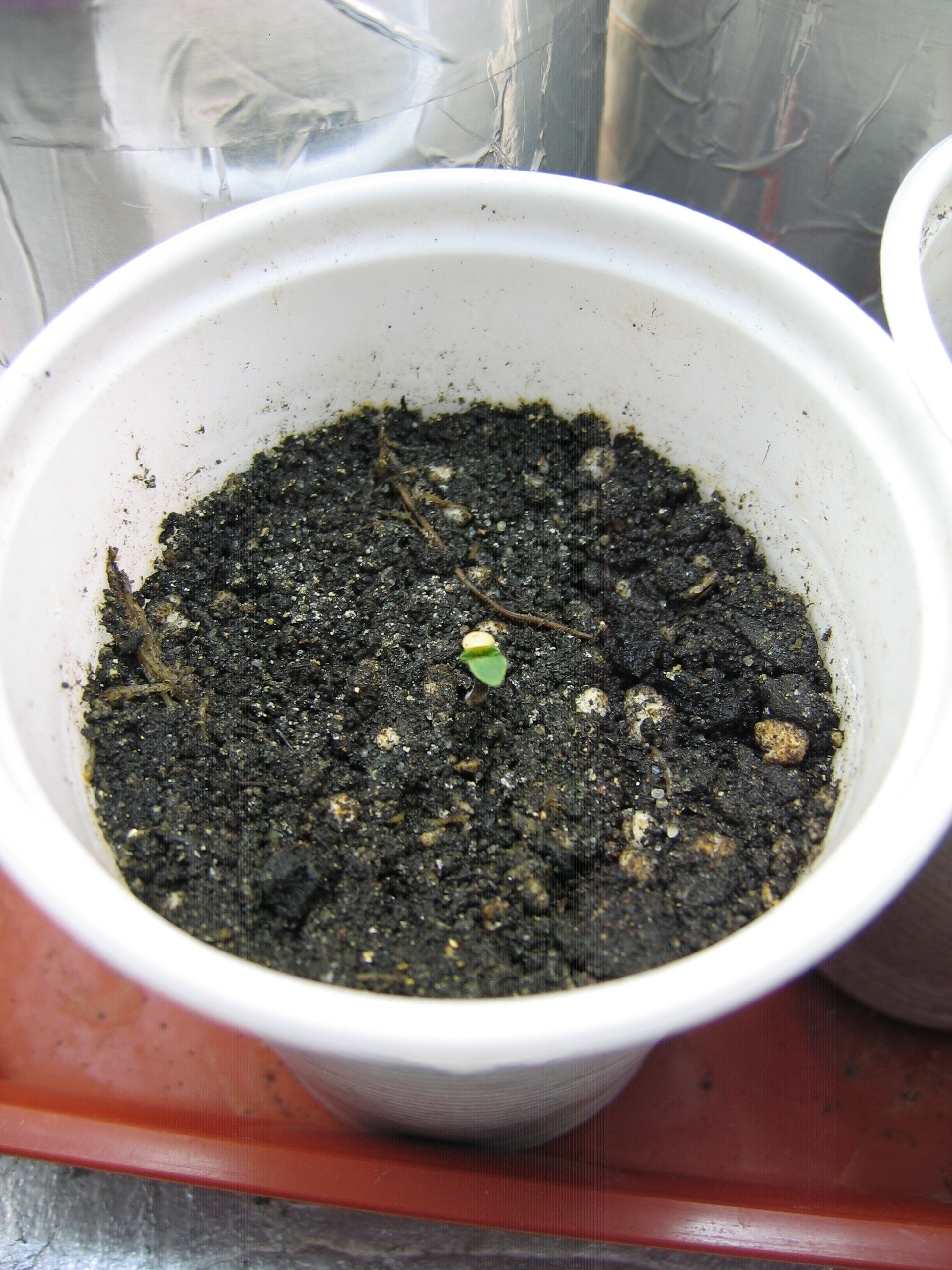 16.04.16 003