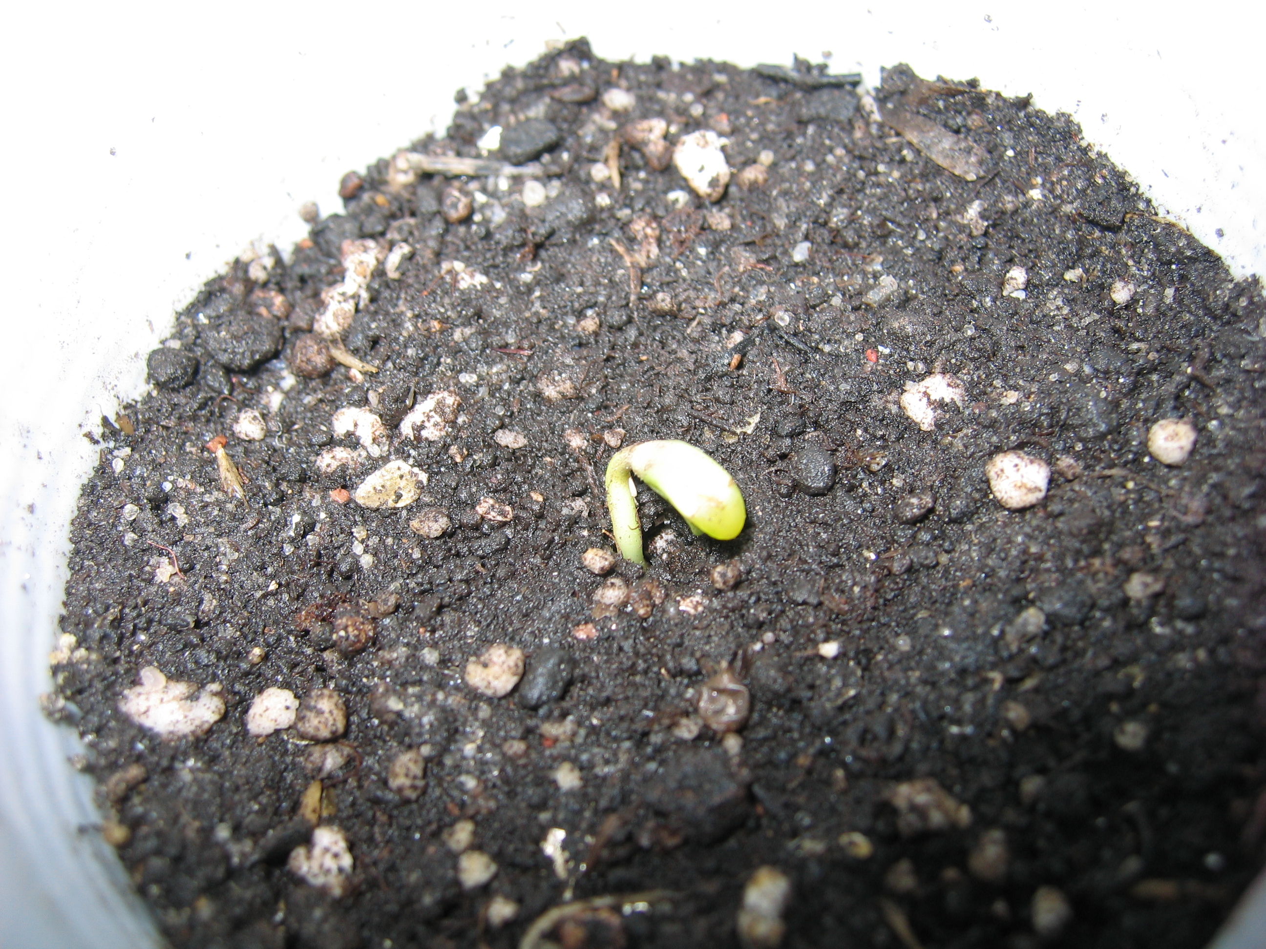 16.04.21 003