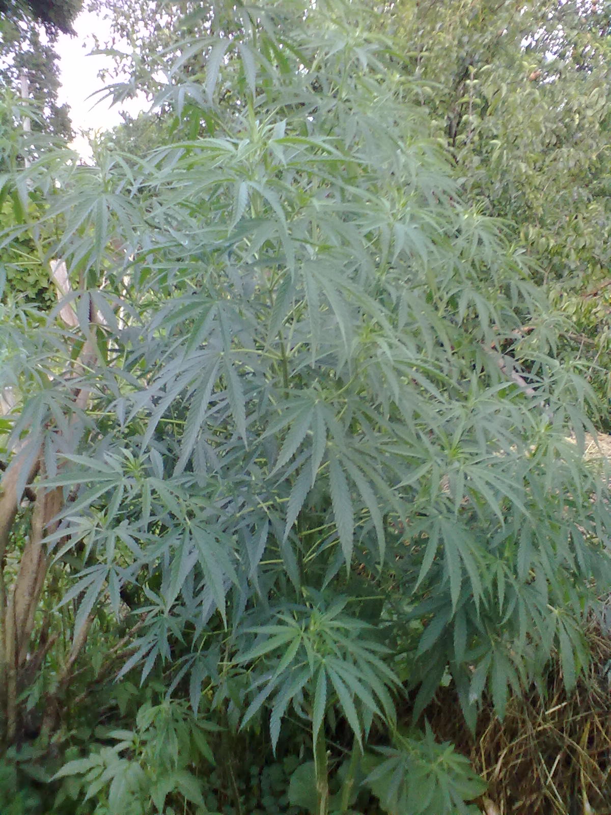 170720163051.jpg
