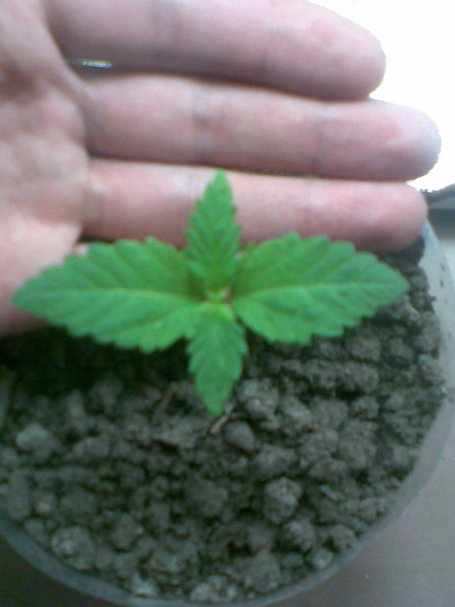 1ef2cbfb4aae5299