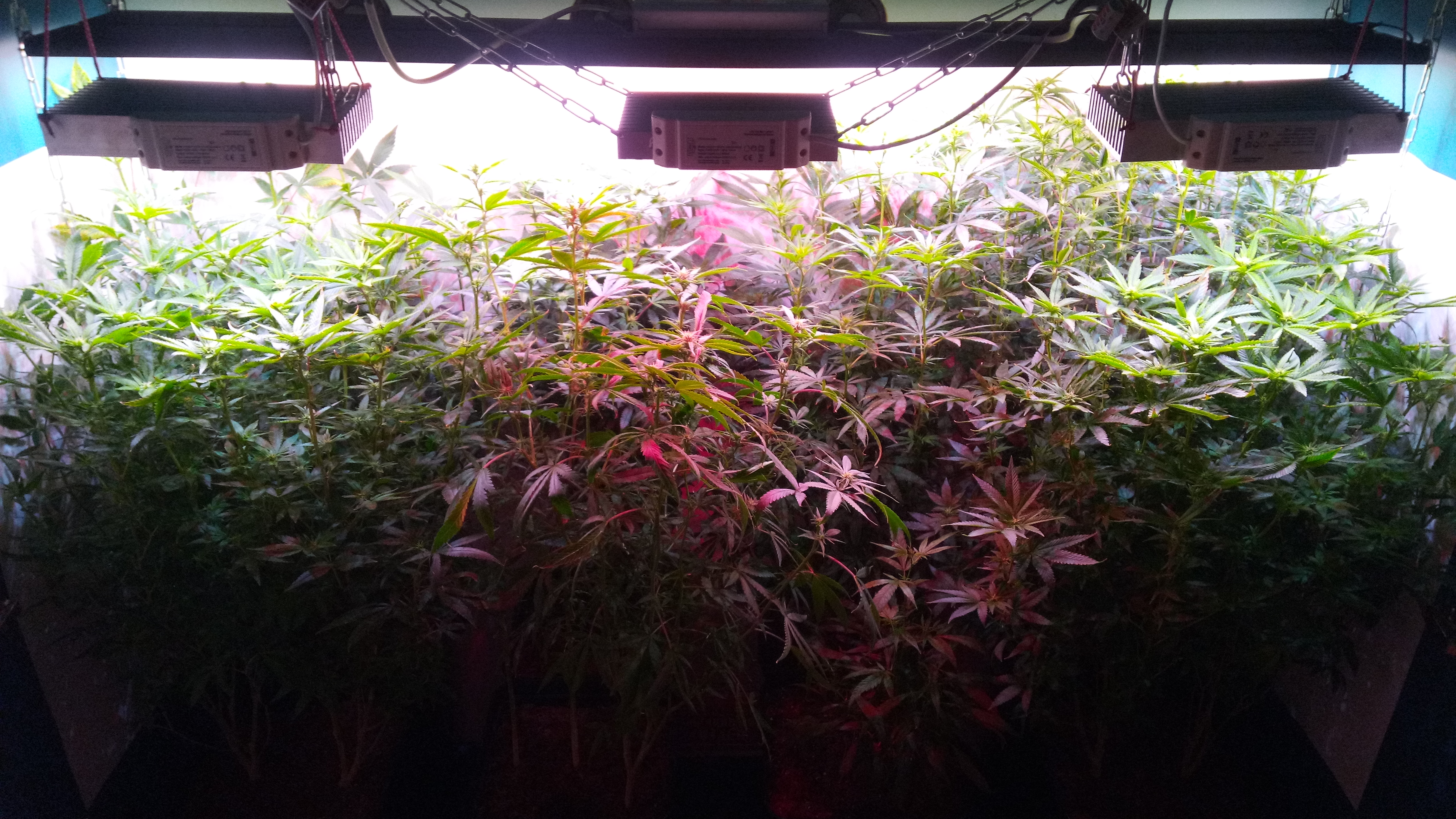 2 week 12\12 Box 1m2