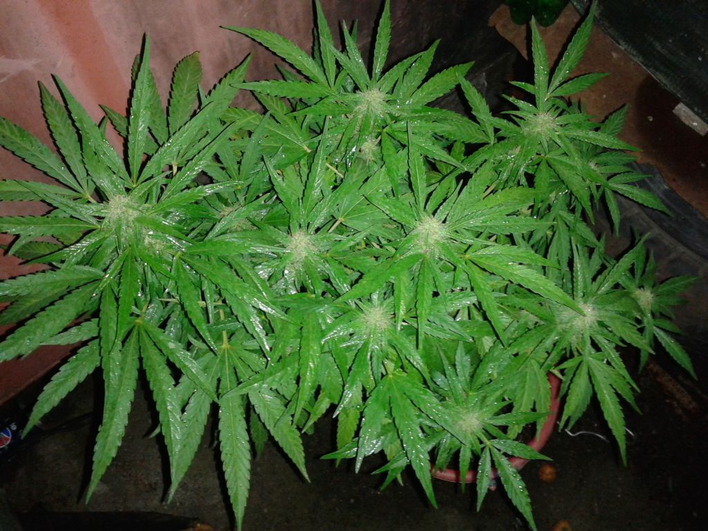 20120129 233027