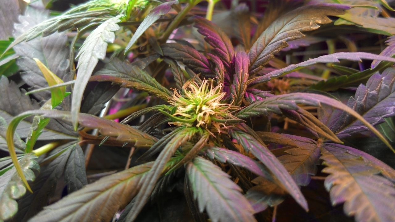2014216145854