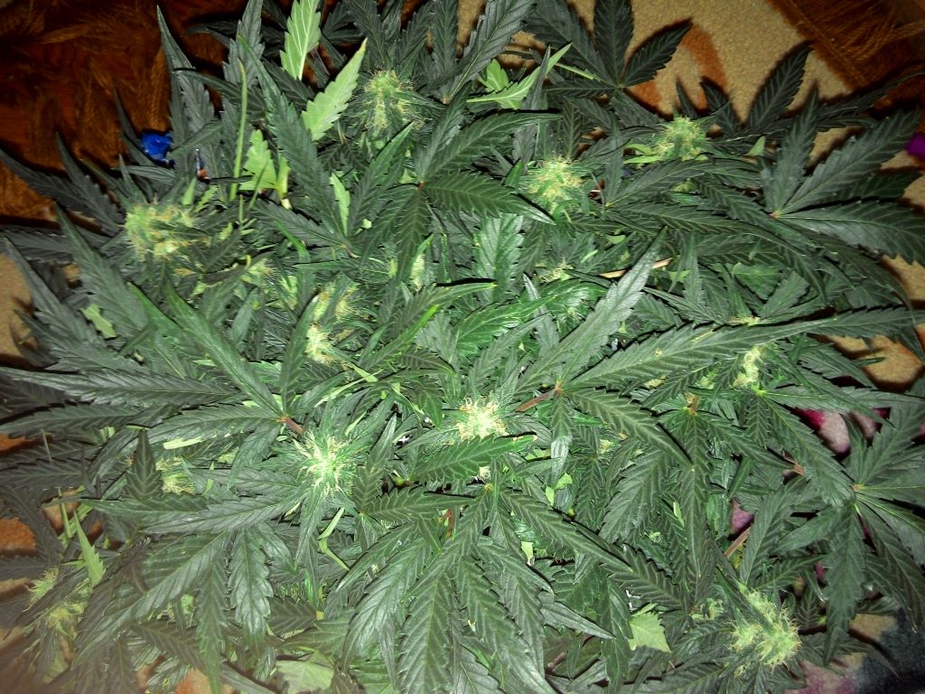 2014228122925