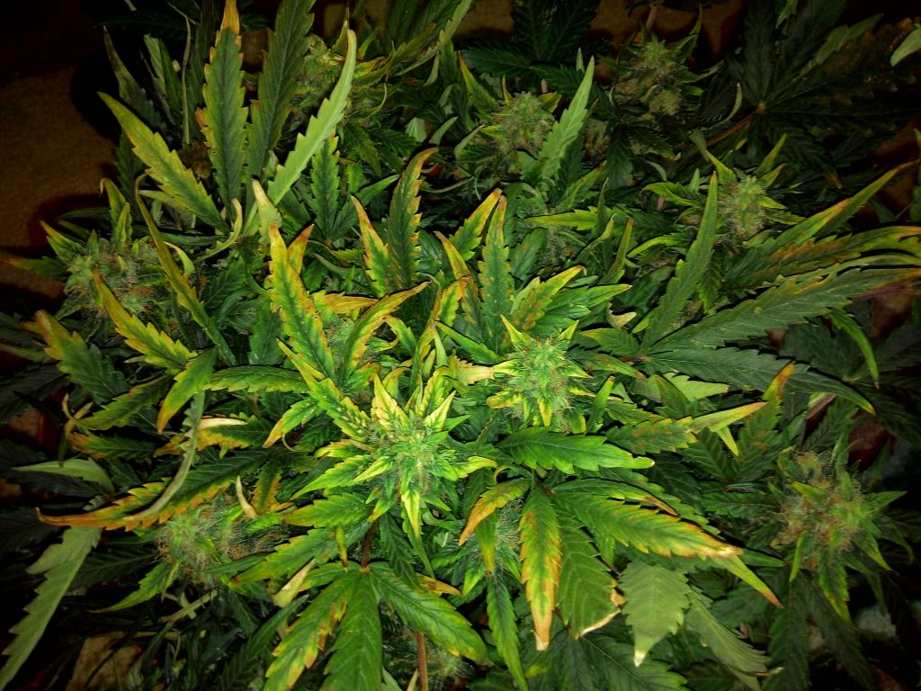 2014311152230