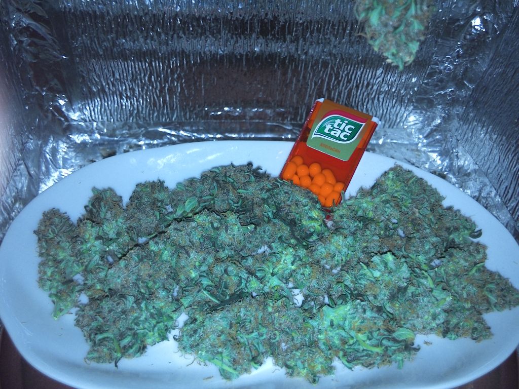 2014314143138