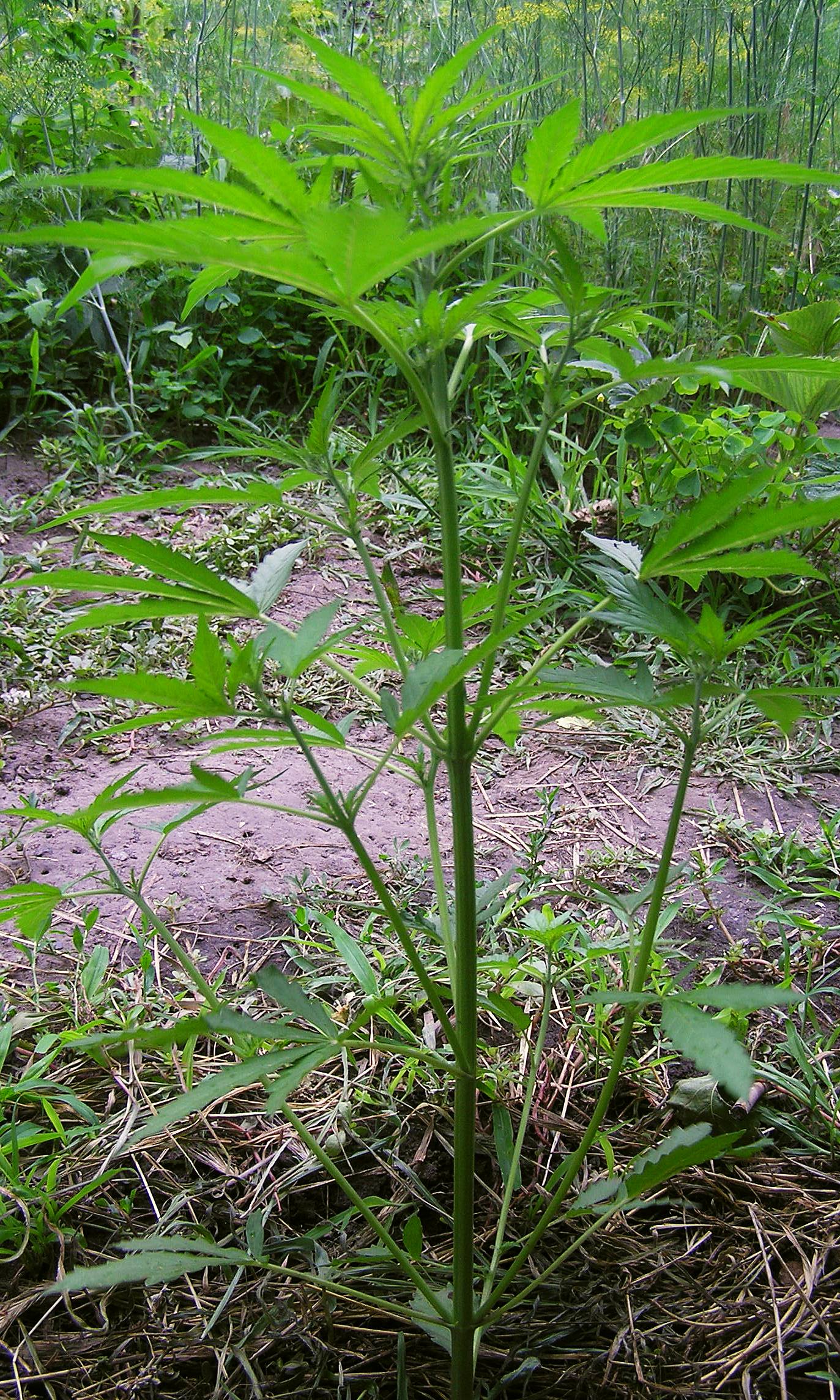 2015 06 26 12.55.08