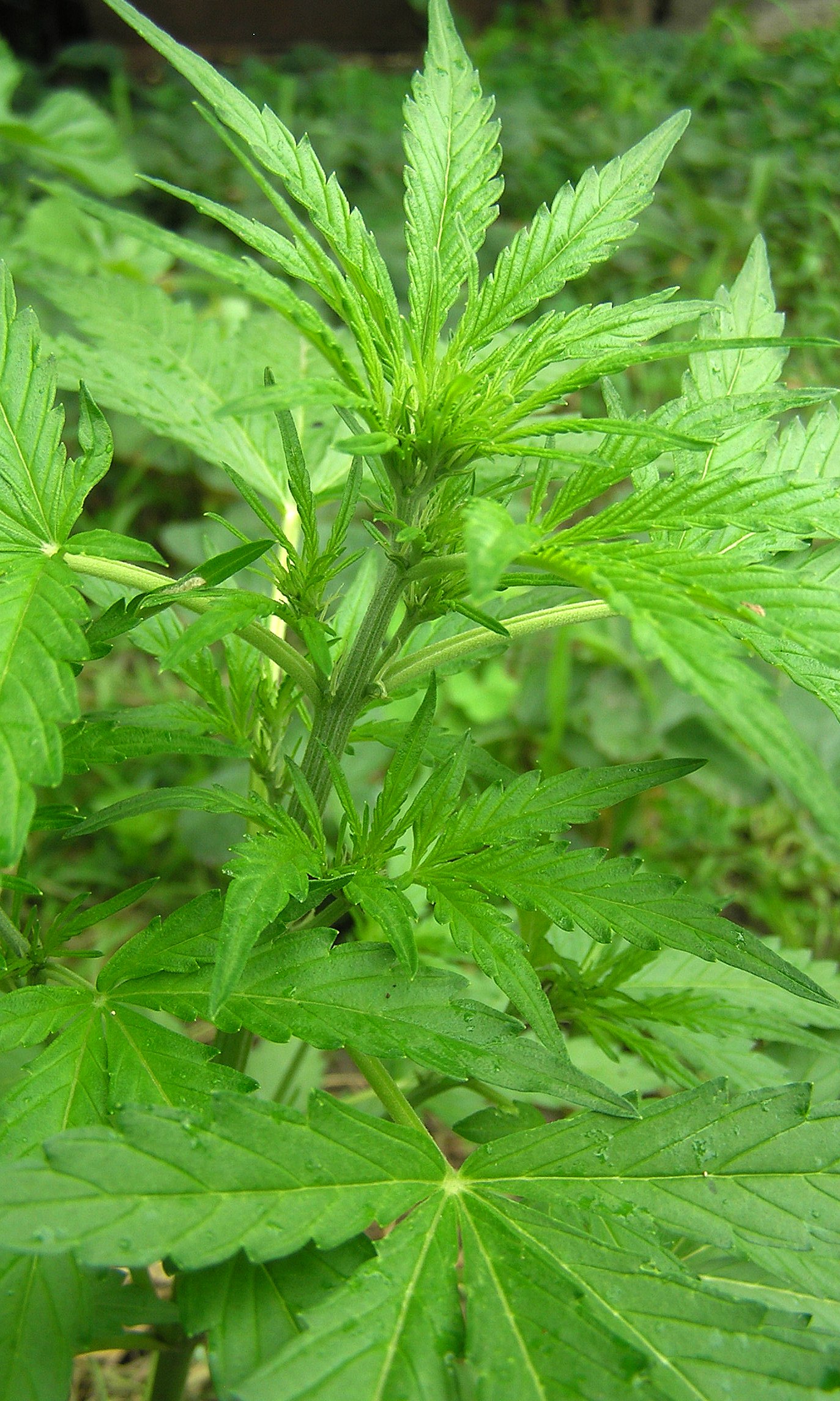 2015 06 26 12.57.19