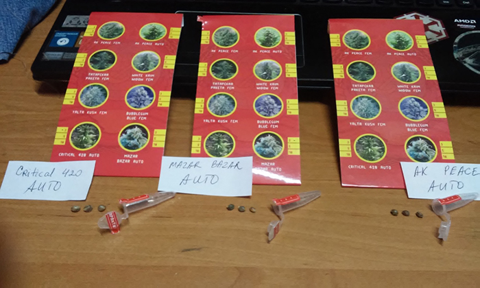 20170304-180418.jpg