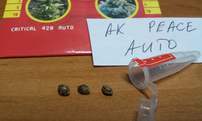 20170304-180536.jpg