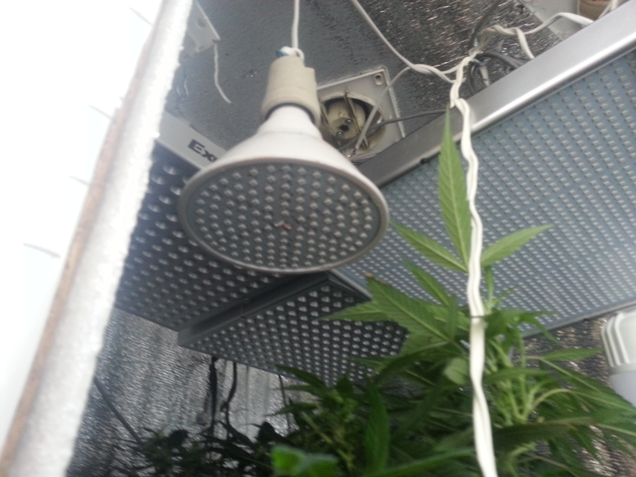 20170513_164647.jpg