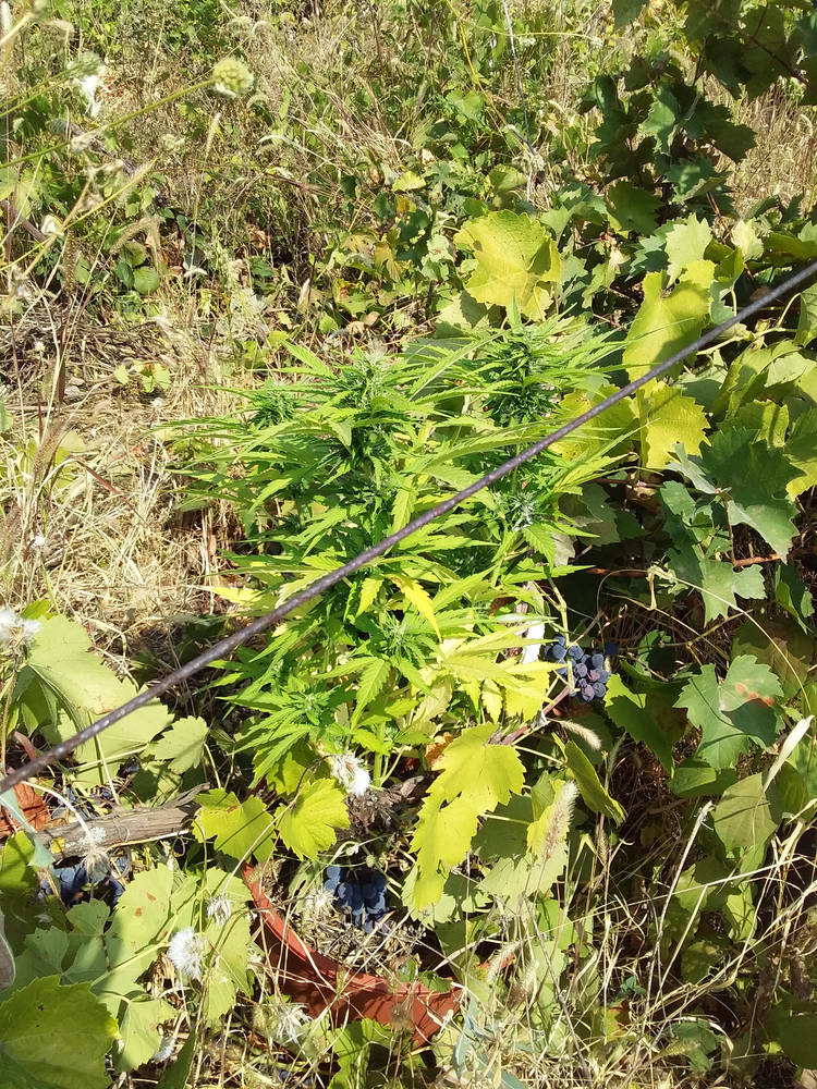 20190903_115159.jpg