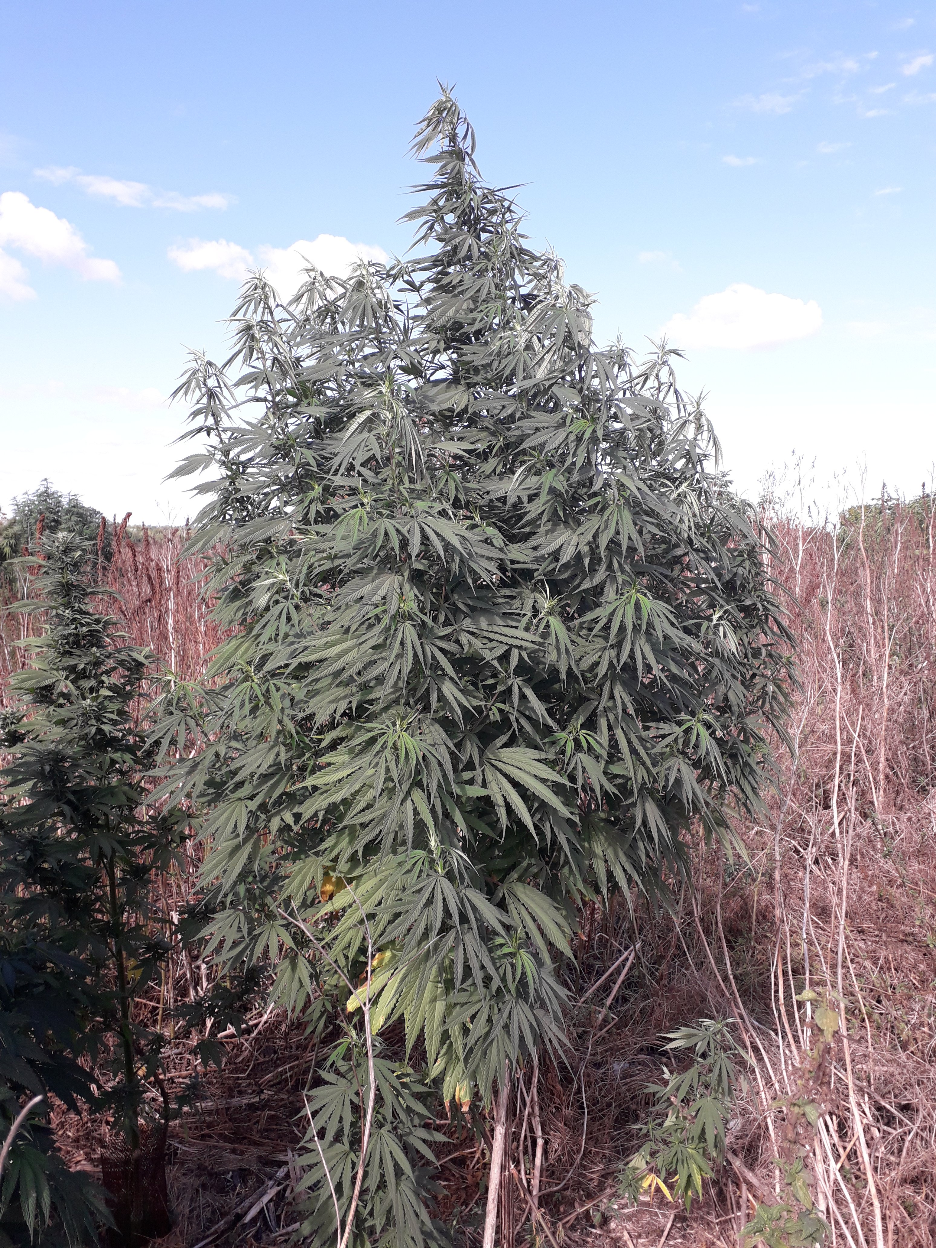 20190905_103253.jpg