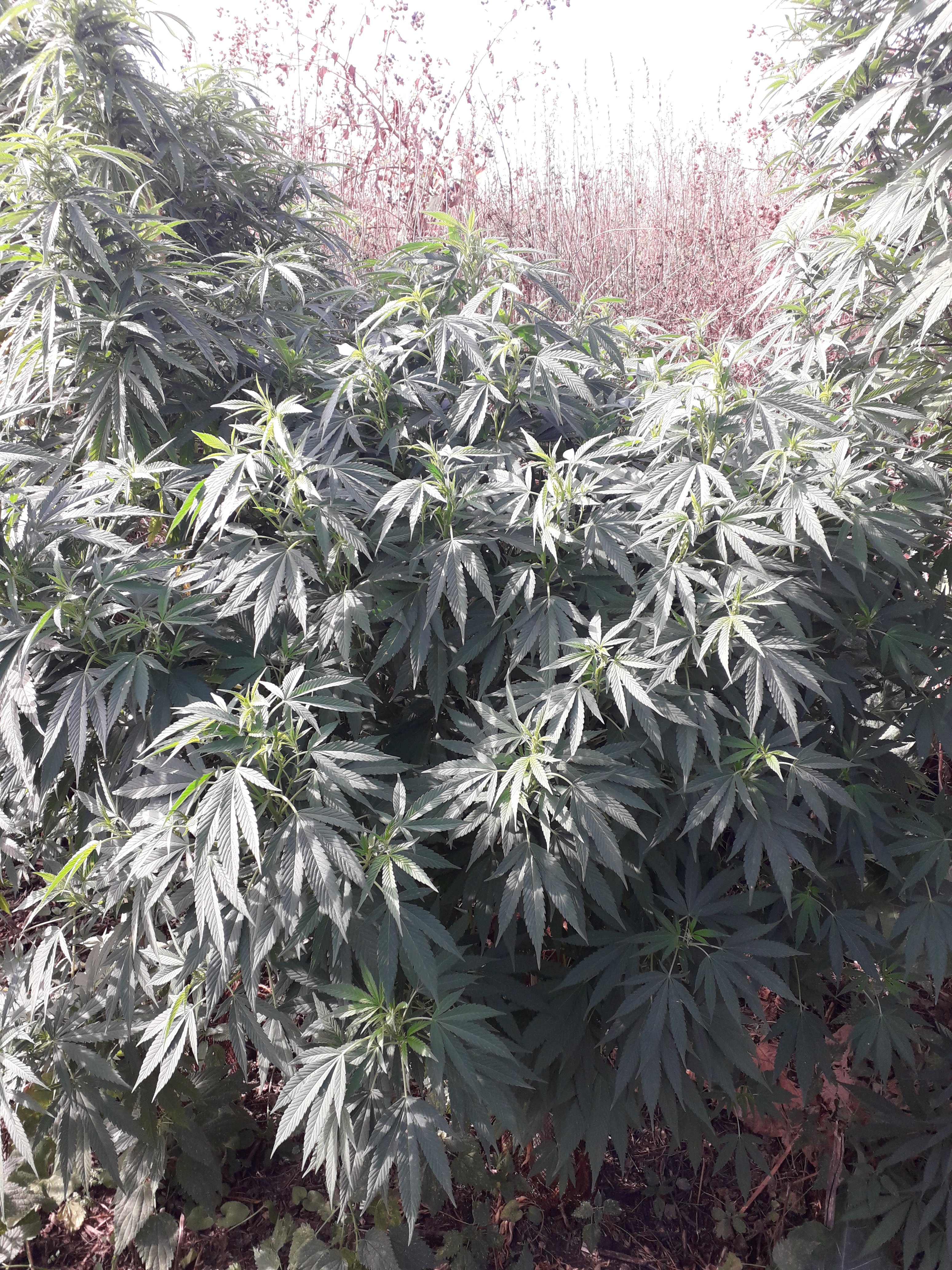 20190905_103535.jpg